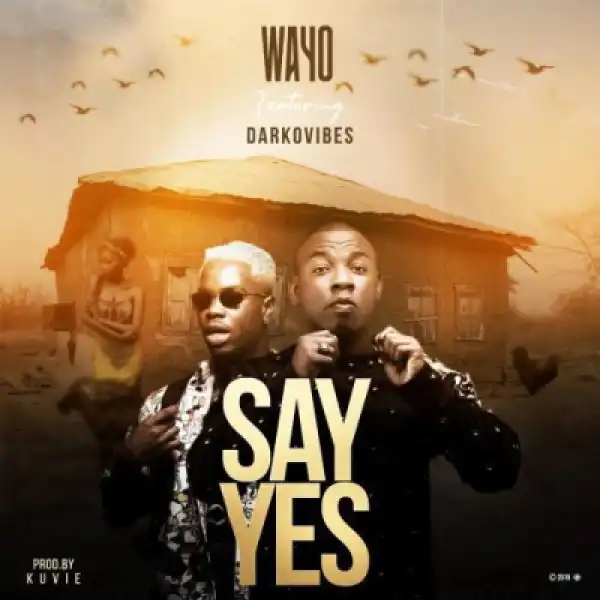Wayo - Say Yes (Prod By Kuvie) ft. Darkovibes